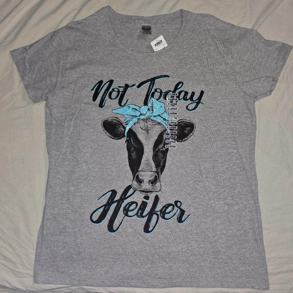 Gray Graphic Tee with Blue Accents